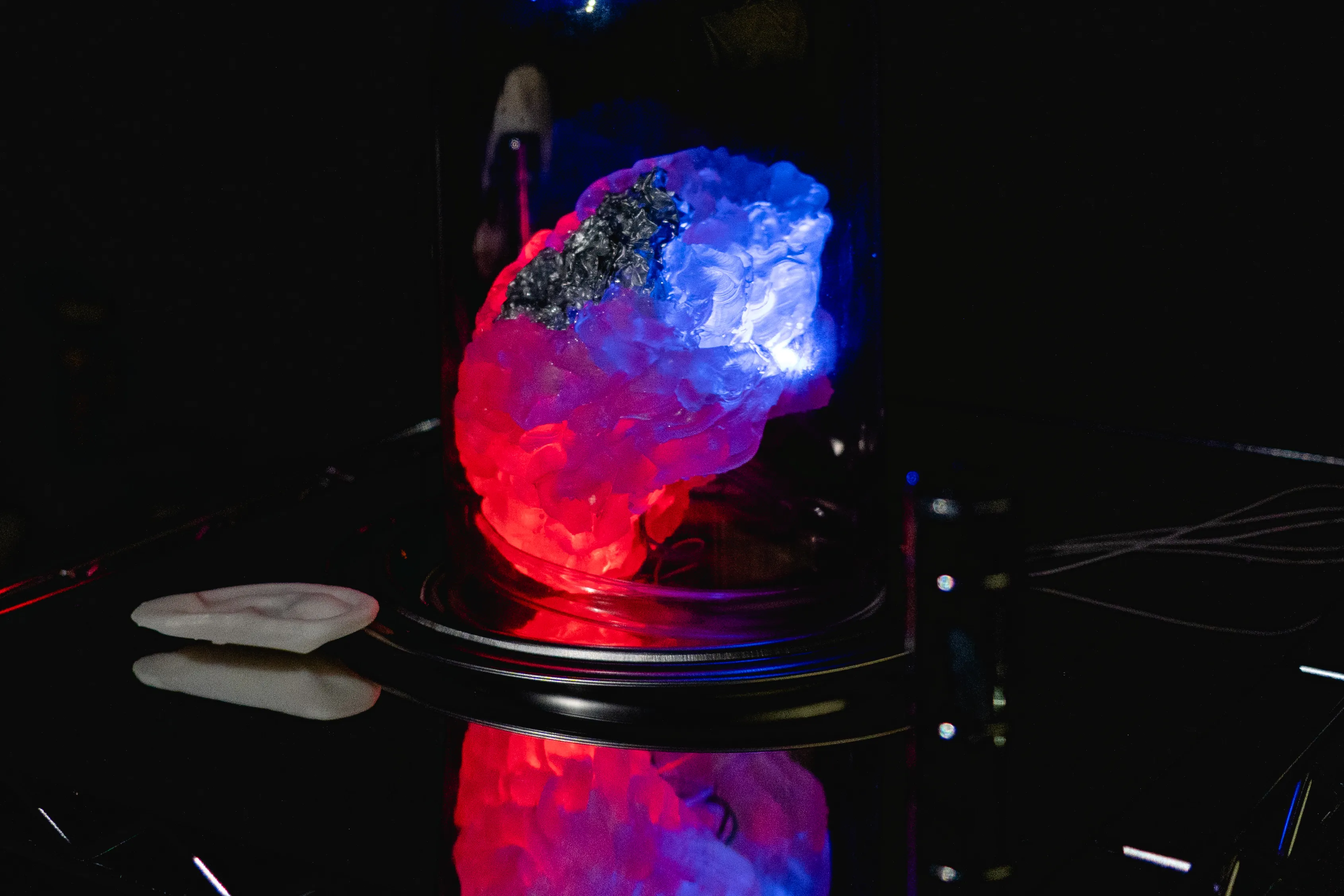 i dream Dream Interface